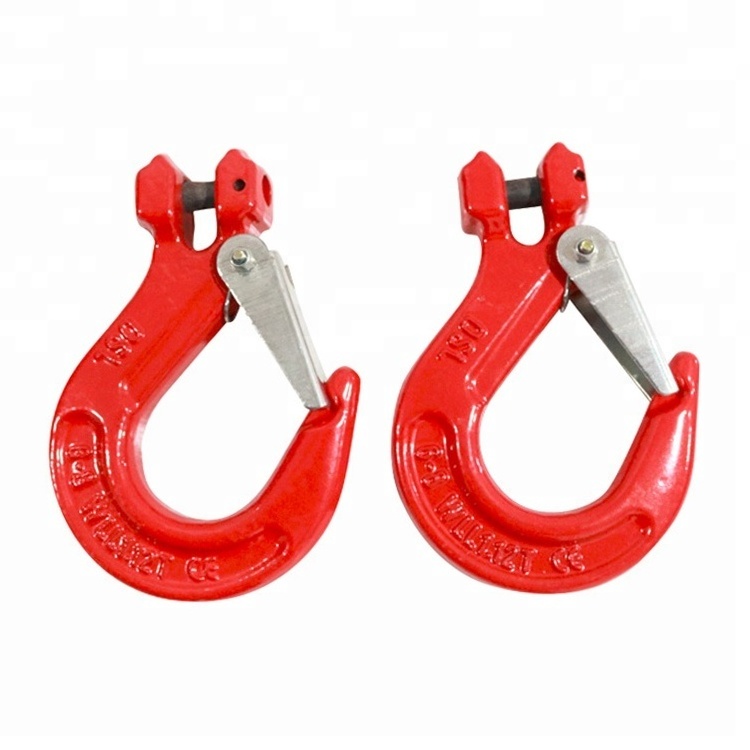 Baot Manufacturer Price G80 Heavy Duty Eye Sling Hook With Latch