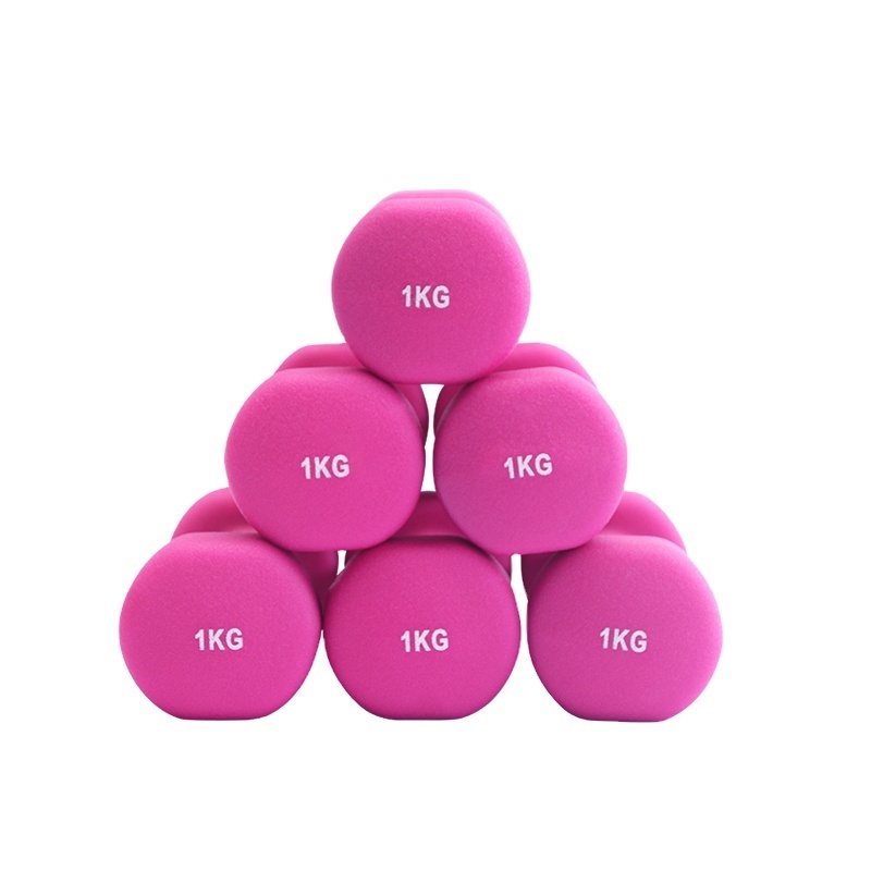 High quality wholesale dumbbell set home fitness equipment female/ women/ kids  use small vinyl dumbbells