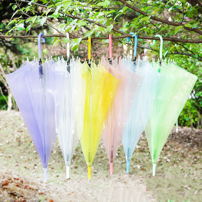 P258 Clear Transparent Rain Umbrella PVC Rain Dome Rain Sun Shade Long Handle Straight Stick Umbrella