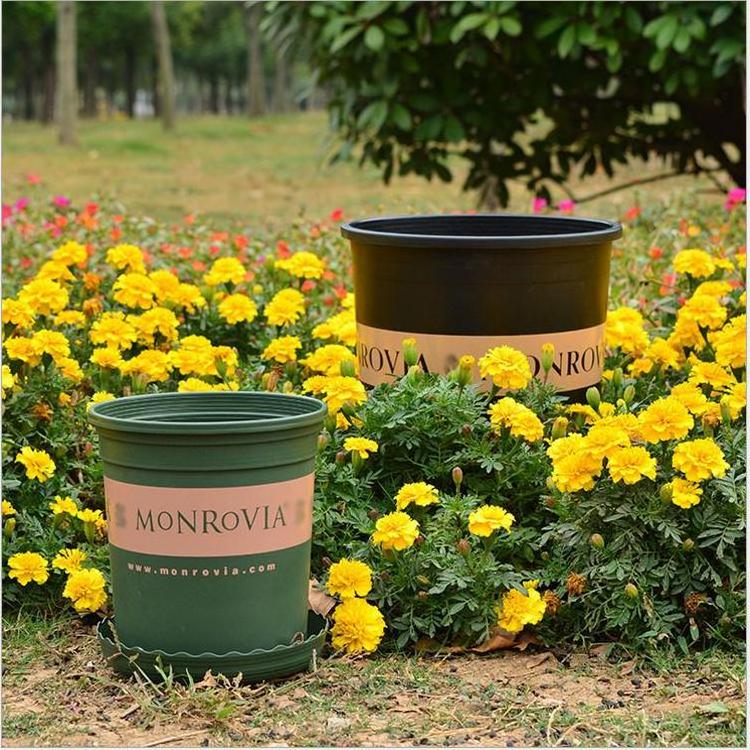 DDA321 Eco-friendly Nursery Tree Pots Round Green Dill Plant Gallon Pot Planter Outdoor Garden Letters Large Plastic Flower Pot