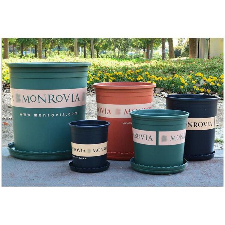 DDA321 Eco-friendly Nursery Tree Pots Round Green Dill Plant Gallon Pot Planter Outdoor Garden Letters Large Plastic Flower Pot