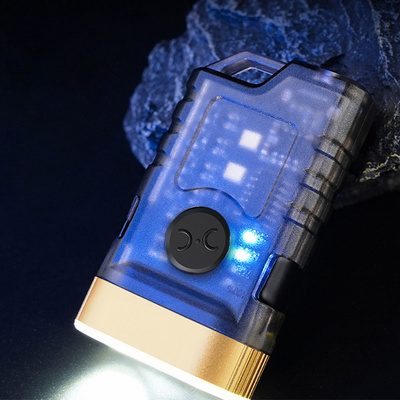 multifunction EDC mini keychain 395NM UV flashlight Dual LED Type C charging IP65 waterproof strong magnetic tail torch