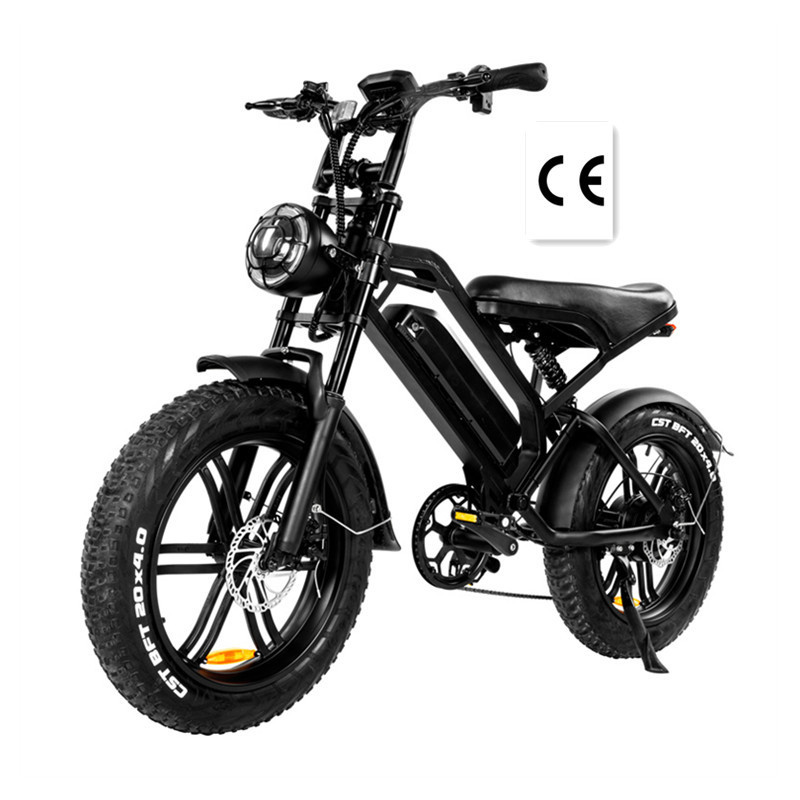 2023 High Performance 1000W 8000W Off Road Electric Dirt Bike 750W All Terrain Adult Fat Tire Motorcycles for Sale