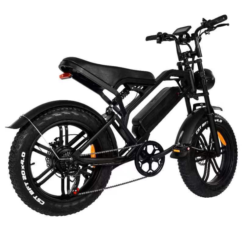 Fat Tire Electric Bike 20inch V20 E bike Price 250W 1000W Motor 15AH Battery Electric Bicycle