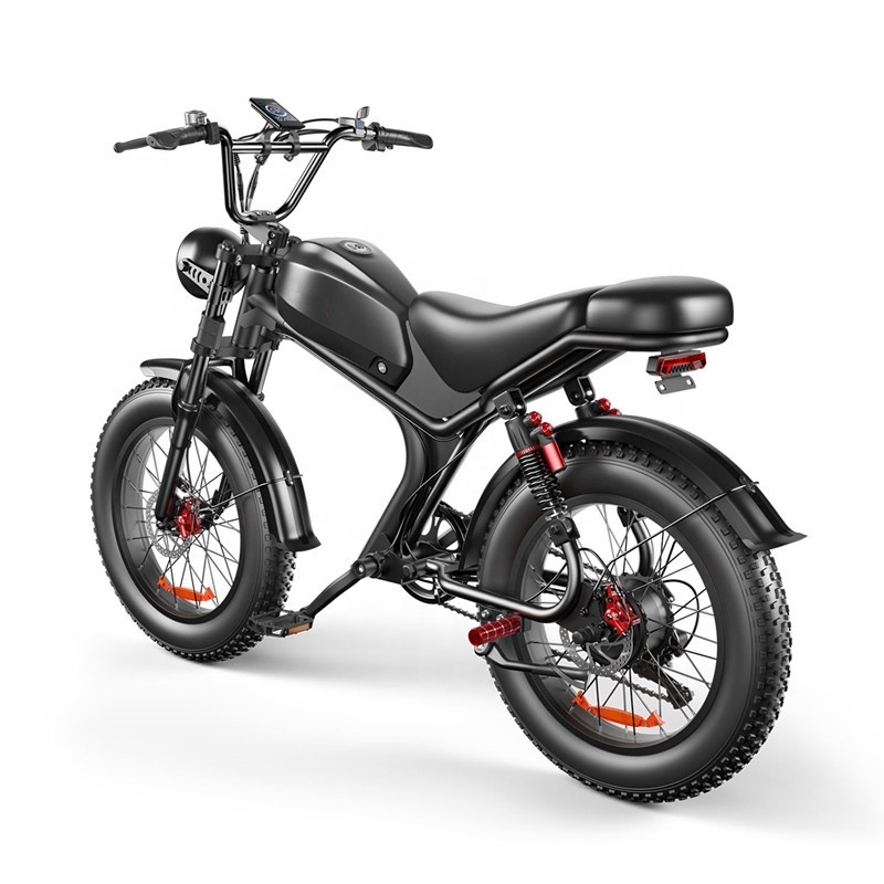 250 Watt 750w electric bike offroad 20inch fat tire electric bicycle all terrain e-bike fast e bike