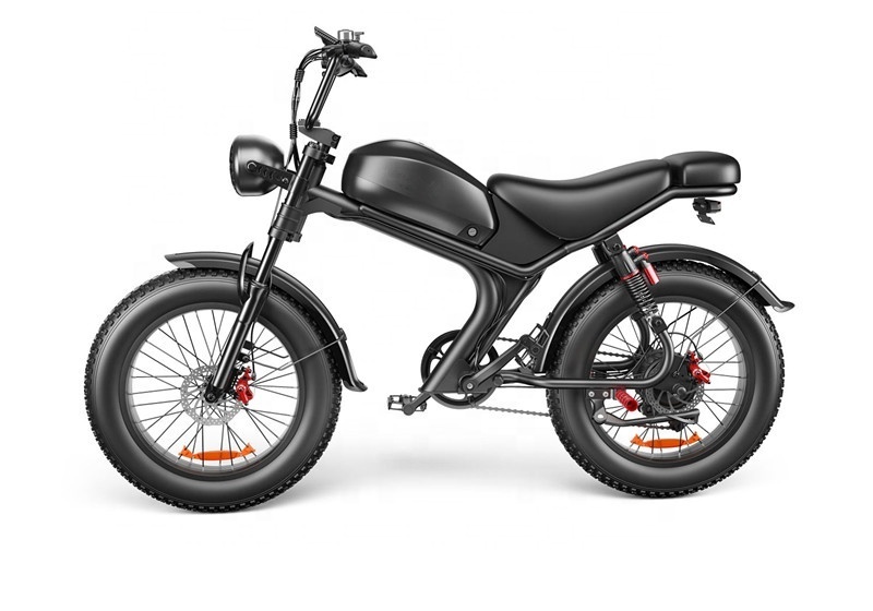 2024 New Design 1000w electric bike fat tire bicycle beach cruise e-bike all terrain offroad ebike bicycle from EU warehouse