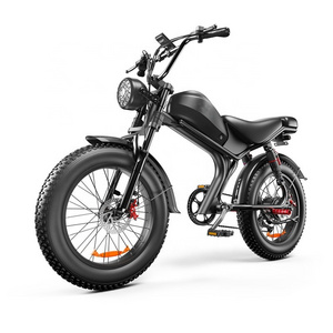 2024 New Design 1000w electric bike fat tire bicycle beach cruise e-bike all terrain offroad ebike bicycle from EU warehouse