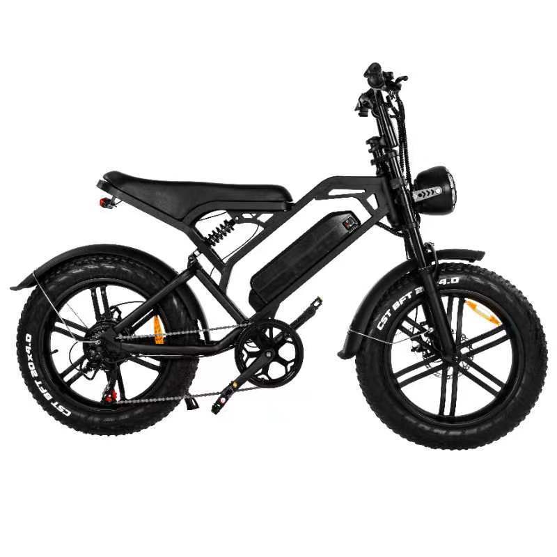 Fat Tire Electric Bike 20inch V20 E bike Price 250W 1000W Motor 15AH Battery Electric Bicycle