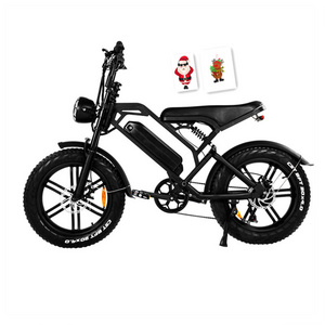 EU Dutch Warehouse  V20 750W Off Road High Speed Mountain E Bike Motorcycle Fat Tire All Terrain Electrical City Bicycle Bikes