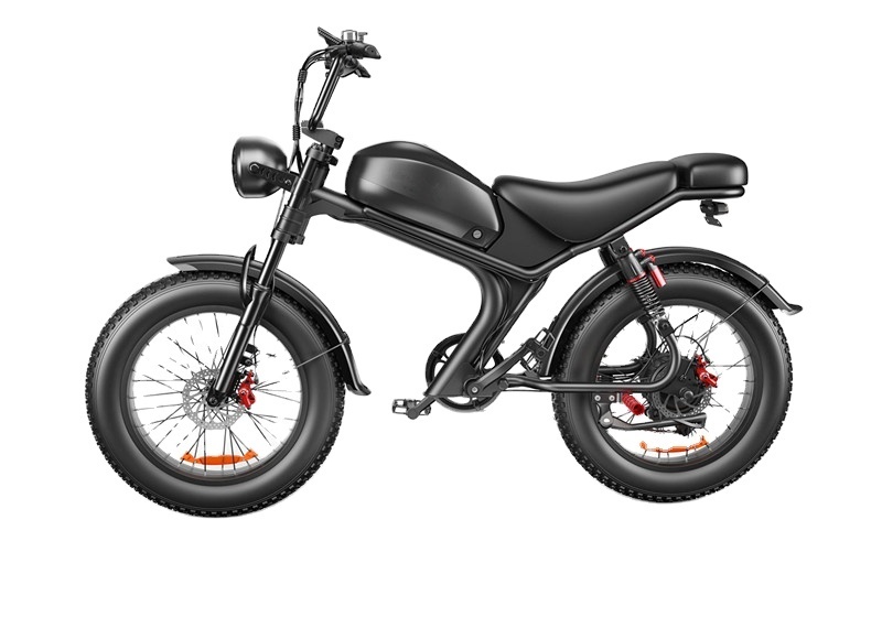 EU warehouse US UK Warehouse fat tire all terrain electric motorcycle