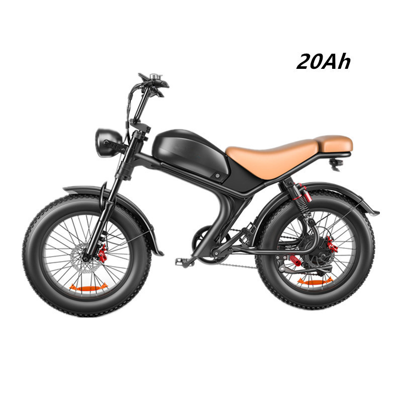 250 Watt 750w electric bike offroad 20inch fat tire electric bicycle all terrain e-bike fast e bike