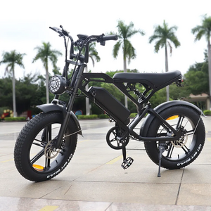 20" V20 Rear Motor 750w 48v Emtb Electric Mountainbike Full Suspension Fully Mtb E Mountain Bike for sale