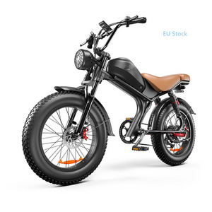 2024 New Design 1000w electric bike fat tire beach cruise e-bike all terrain electric chopper motorcycle