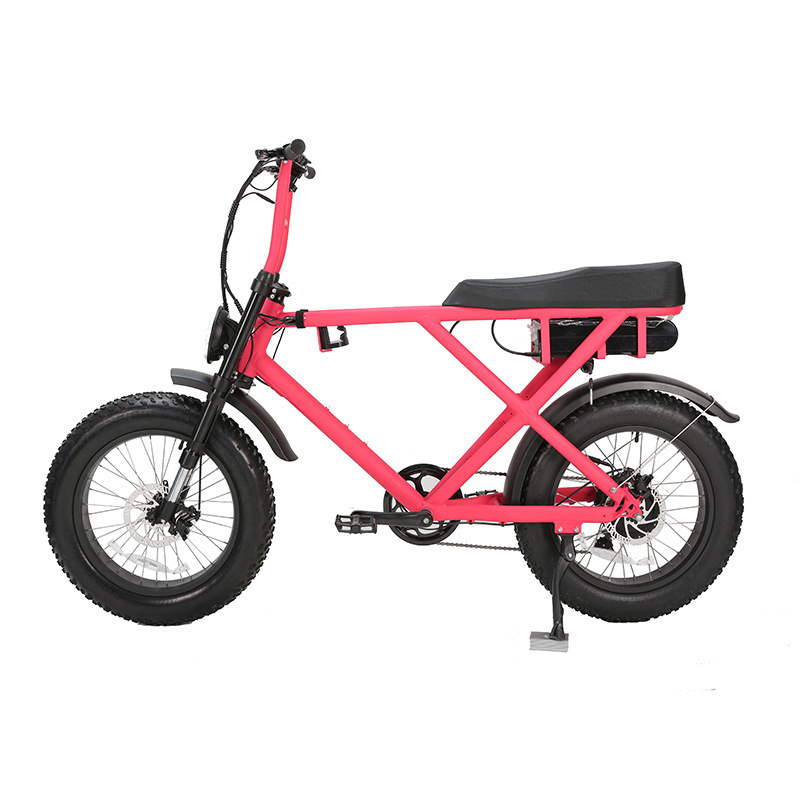 20'' 26'' all terrain electr bike fat tire mountain full suspension electric bike