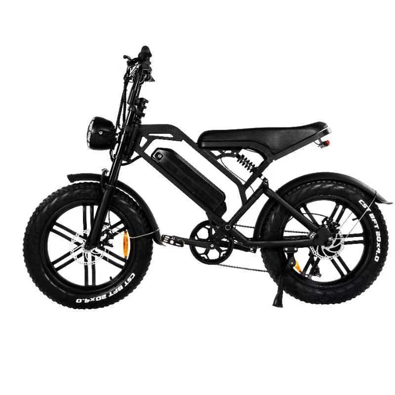 Fat Tire Electric Bike 20inch V20 E bike Price 250W 1000W Motor 15AH Battery Electric Bicycle