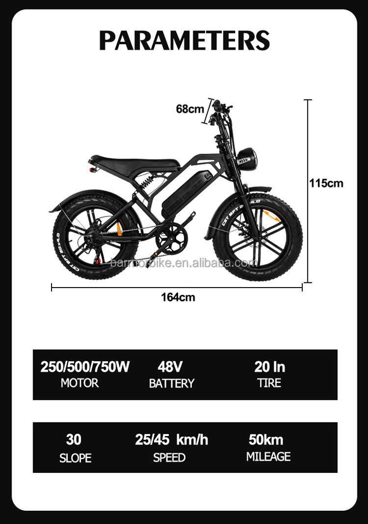 Fat Tire 20 inch Electric Bicycles V20 3.0 250W/1000W Motor Electric Bike Mountain Bicycle/All Terrain E-bike