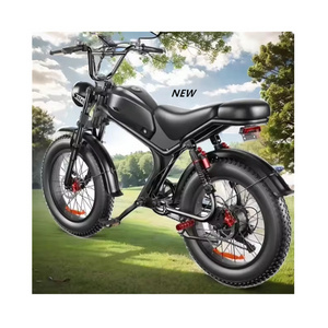 US EU Warehouse Steel Alloy 20 Inch Air Tires Electric Bike 1000W 48V 750w Vintage Electric Fat Tire Bike With Rear Seat