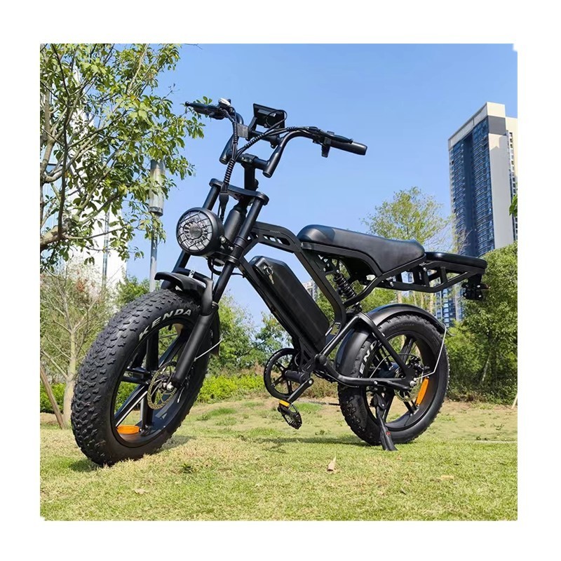 Fat Tire 20 inch Electric Bicycles V20 3.0 250W/1000W Motor Electric Bike Mountain Bicycle/All Terrain E-bike