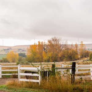 White Vinyl Ranch Rail Vinyl Fence Panels