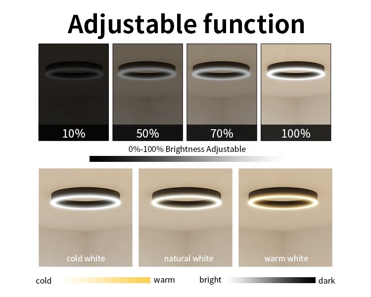 Simple Aluminum Profile Led Ceiling Lights Circle Rings Acrylic Modern Led Ceiling lights For Office