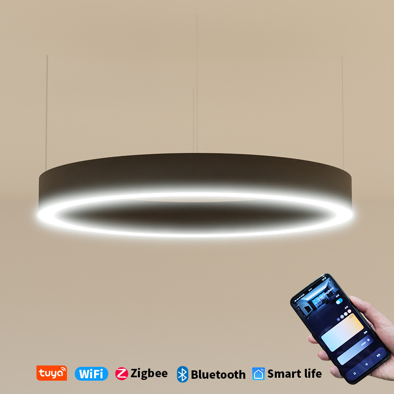 Barrina Direct Lighting Suspended Circle Ring Led Pendant Light With Curved Aluminum Profile