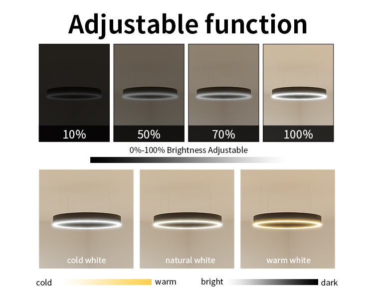 Barrina Direct Lighting Suspended Circle Ring Led Pendant Light With Curved Aluminum Profile