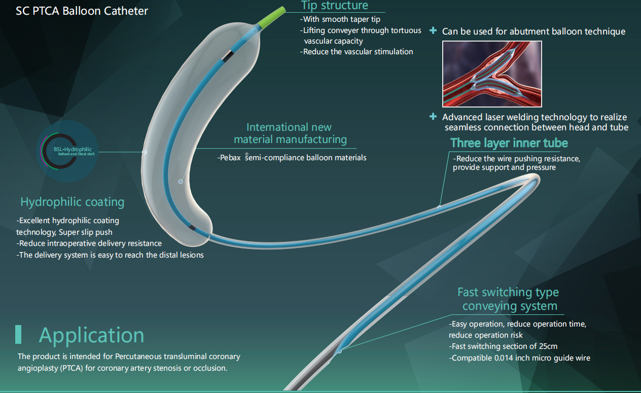 Professional Bsl Hydrophilic Coating Technology Medical Supplies Small Size Ptca Balloon Dilatation Catheters For Cto Lesions