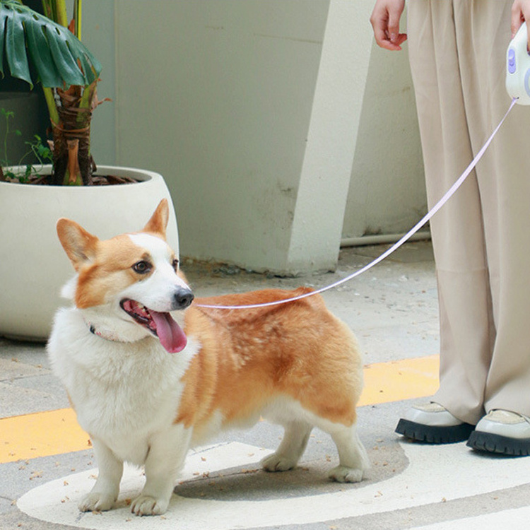 New Style Retractable Dog Leash Stretch And Shrink Led Dog Leash With Flashlight Dog Leash For Walking