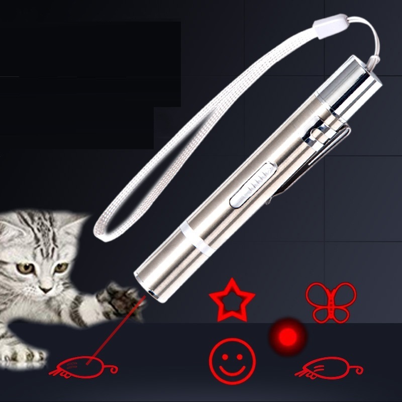 Stainless Steel Pet Toys Cat Laser Light Custom Pattern Rechargeable Laser Pointer