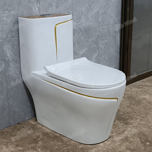 Africa well selling luxury WC luxury electroplated toilets P-trap washdown one piece gold toilet