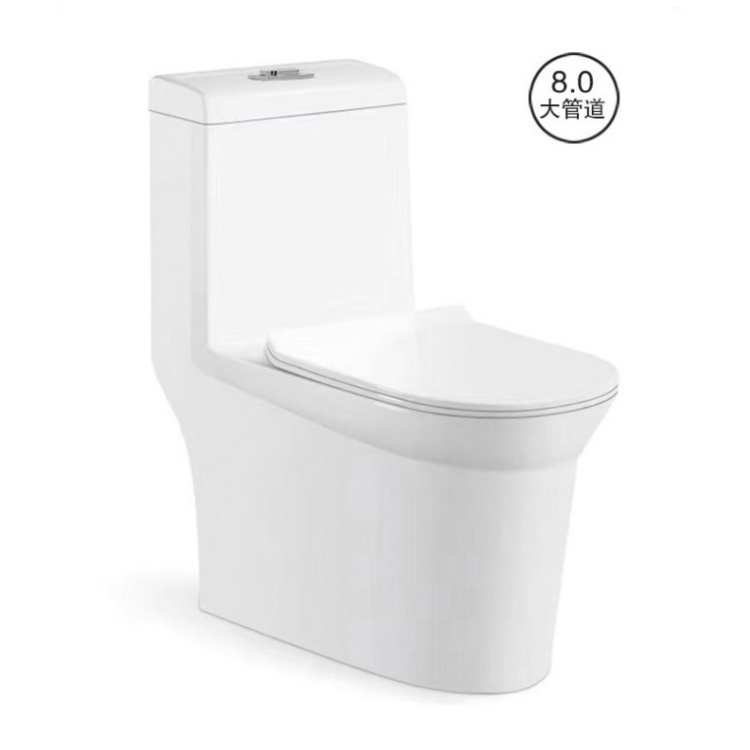 Bangladesh Nepal Popular Sell 2D Eddy Flush One Piece Dual Flush Siphonic Ceramic Toilet