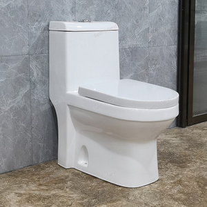 Bidet available Middle East Saber Ceramic Bidet Arab one piece washdown ceramic Wc Toilet