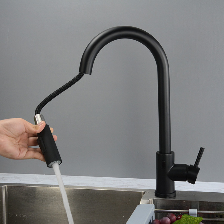 Modern Single Handle Kitchen Sink Faucet Pull Out Kitchen Faucet Sensor Kitchen Faucet