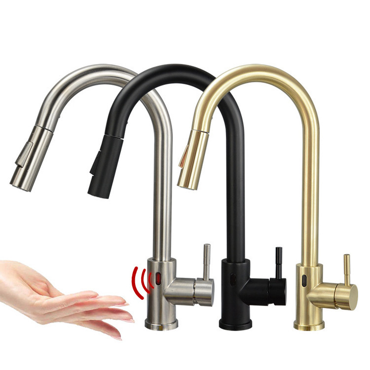 Modern Single Handle Kitchen Sink Faucet Pull Out Kitchen Faucet Sensor Kitchen Faucet