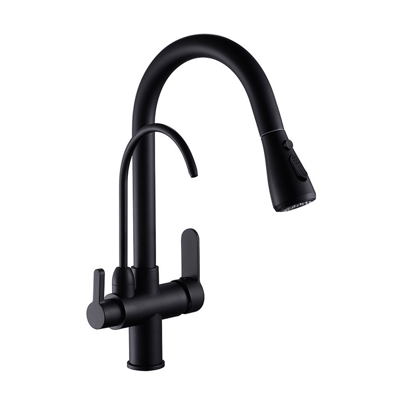 Double spout Black Water filter function 3-way Pull Out Kitchen faucets