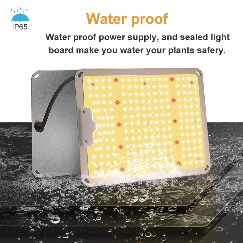 multi specrum 100 w 110w 120w lm301h 301h cob cxb3590 meanwell driver 720 led grow light