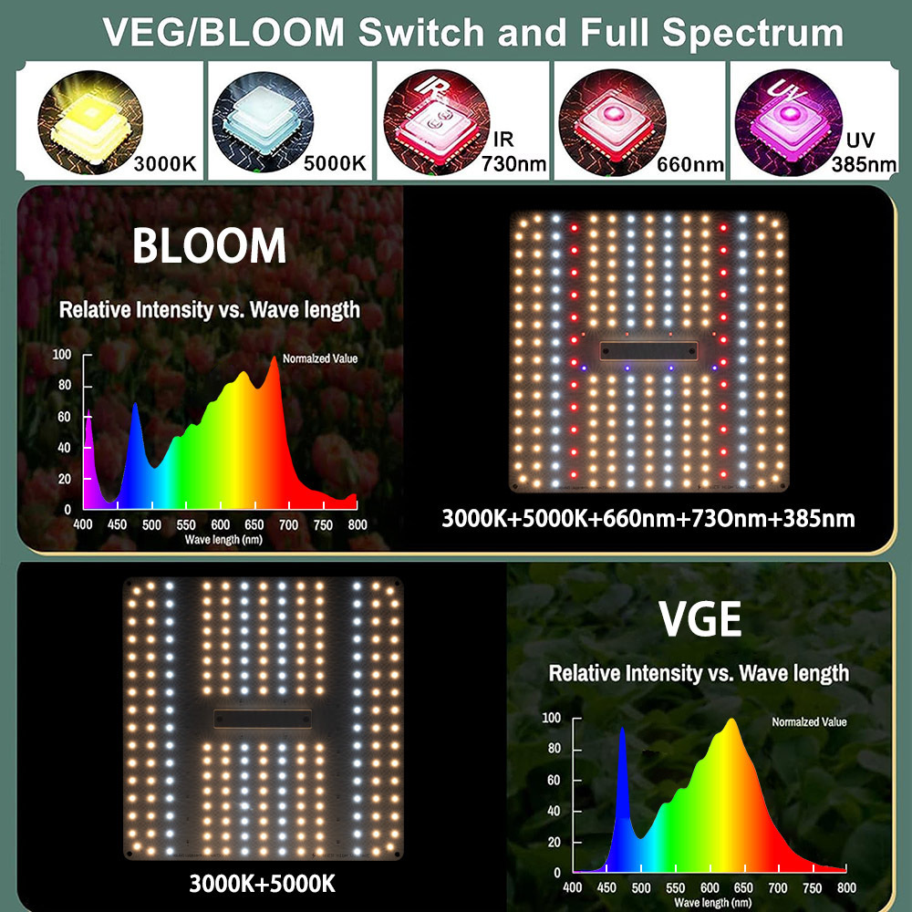 BAVA Cheap Price New 120W Samsung LED Grow Light Veg Bloom Spectrum Dimmable Plant Grow Lights for 2x2 FT Smart Growing Tent Kit