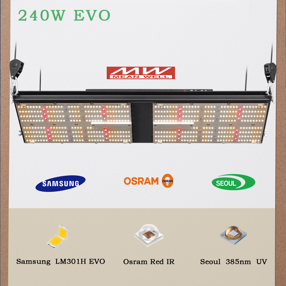 BAVAGREEN 240W Samsung LM301H EVO LED Grow Light UV IR Separately Control LED Plant Lamp for Veg Bloom 2x4 Growing Tent