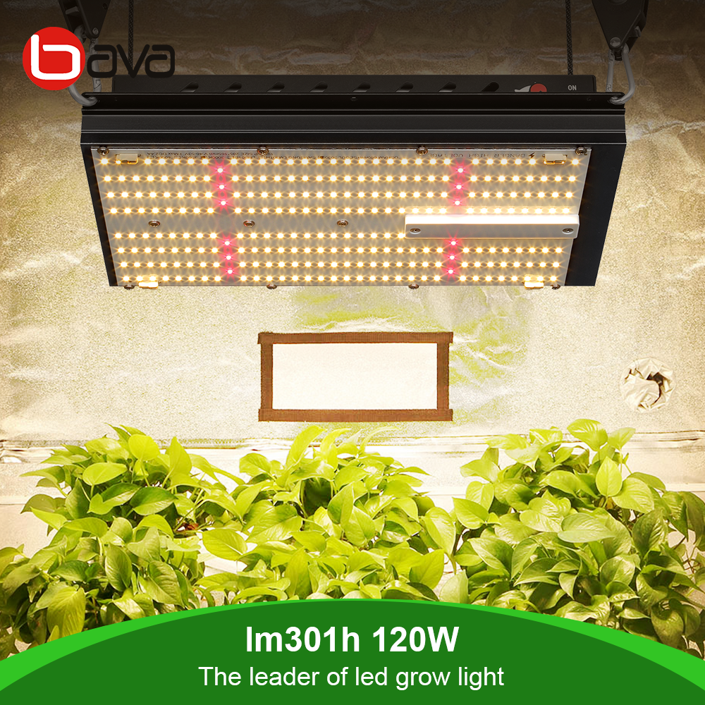 BAVA full spectrum cob light grow  meanwell driver lm301b 3500k 660nm 120w samsung quantum  led grow lamp for microgreens flower