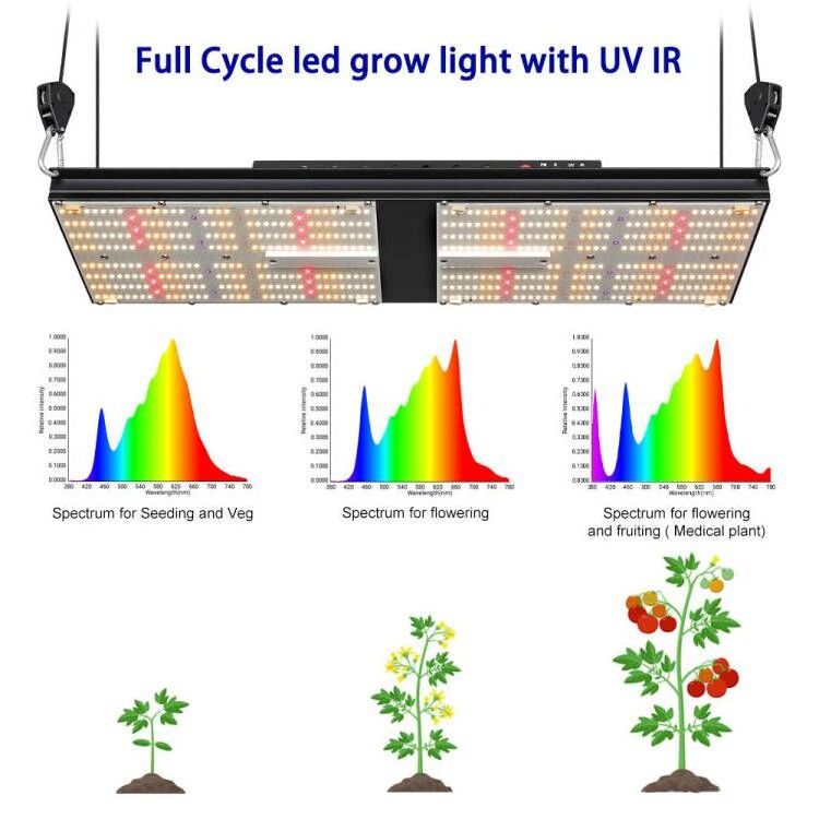 BAVAGREEN 240W Samsung LM301H EVO LED Grow Light UV IR Separately Control LED Plant Lamp for Veg Bloom 2x4 Growing Tent