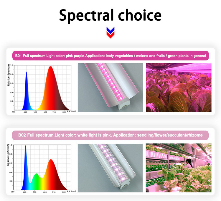 2024 Double Row T8 LED Growing Light Fixture 18W Linkable Customize Spectrum Sunlight Strip Grow Light for indoor Plants