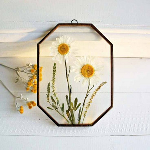 Glass Photo Frame with Metal Frames for Indoor & Outdoor Decor 2023 New Design Hexagonal Shape Picture Frames for Sale