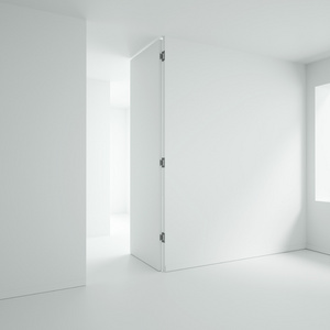 White classical invisible door concealed swing single door safety