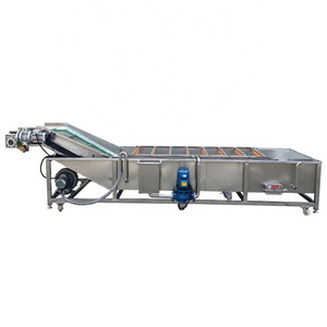 Automatic Sea Cucumber Cleaning And Drying Clean Processing Machine Fruit Vegetables Washing And Drying Machine