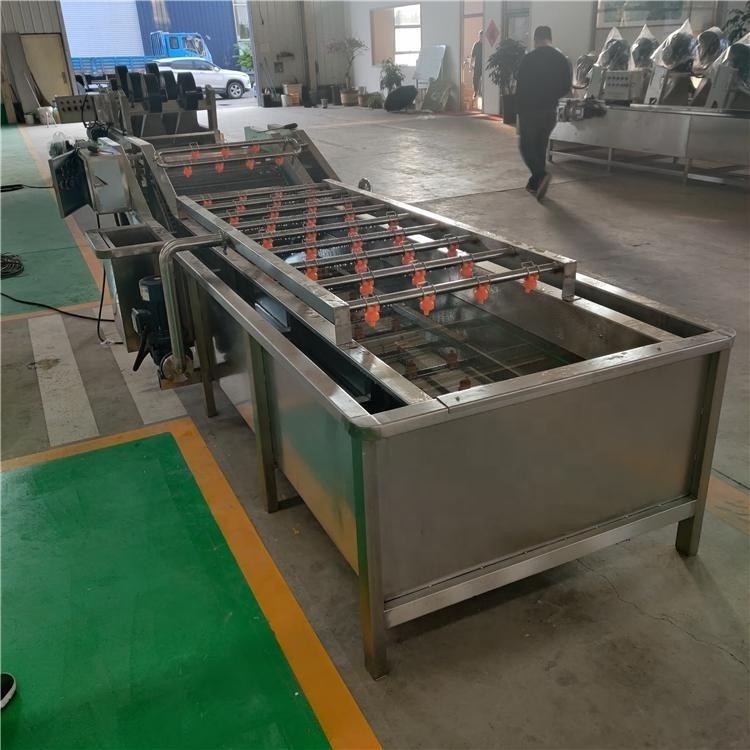 Orange Polishing Sorting Mango Citrus Grape Seed Cleaning Machine and Packing Cleaning Machine for Fruit