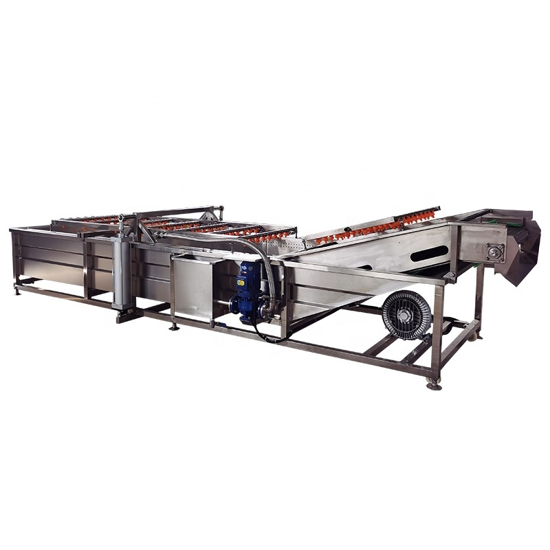 Orange Polishing Sorting Mango Citrus Grape Seed Cleaning Machine and Packing Cleaning Machine for Fruit