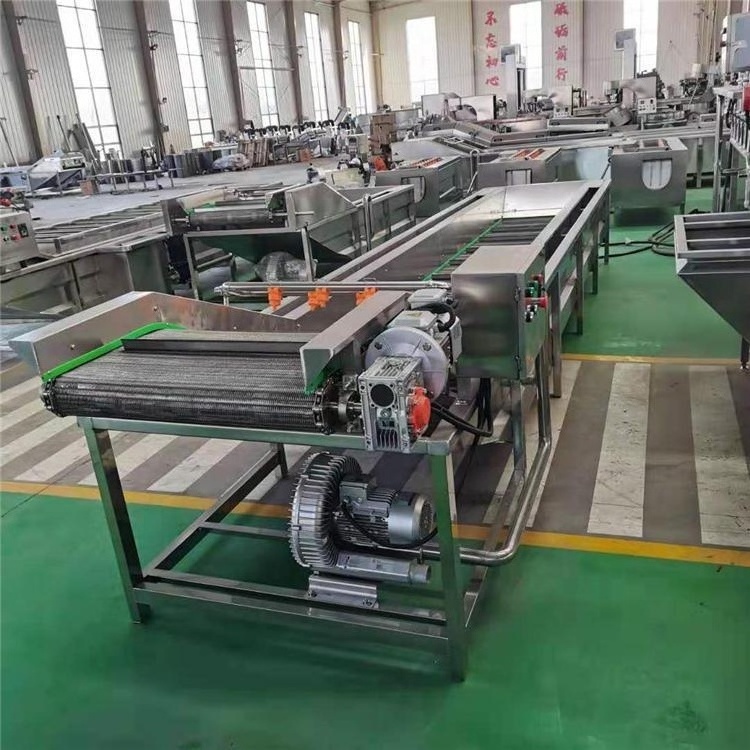 Orange Polishing Sorting Mango Citrus Grape Seed Cleaning Machine and Packing Cleaning Machine for Fruit