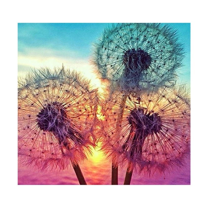 Custom Full Drill Diy Diamond Painting Plant Picture Dandelion In Sunset Glow Diamond Embroidery Cross Stitch Mosaic Painting