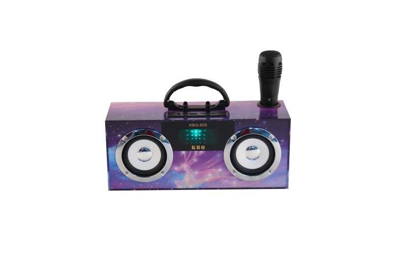 Bluetooth speaker cheap price high quality 10W with karaoke function karaoke speaker AUX USB SD FM radio