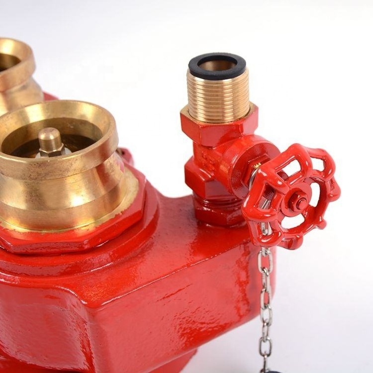 BaiChuan DN100 flange outlet fire hydrant 2 way breeching water inlet valve